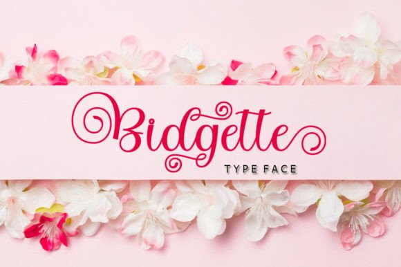 Elevate Your Brand with the Bidgette Typeface