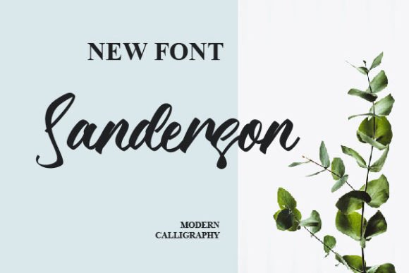 Sanderson Review: A Script Font with Real Brand Potential