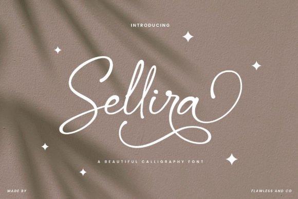Sellira Font Review: Elevating Campaign Visuals with Style